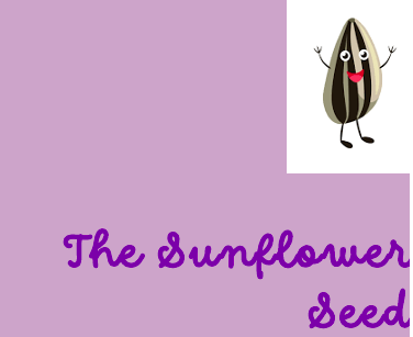 Sunflower Seed